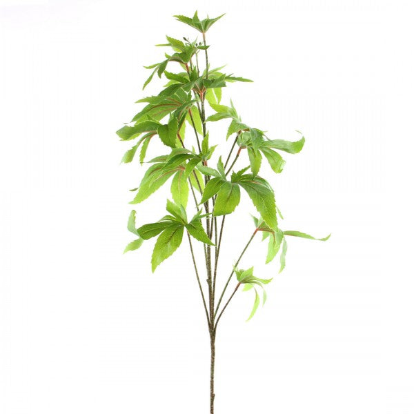 39"MARIJUANA SPRY GRN A4