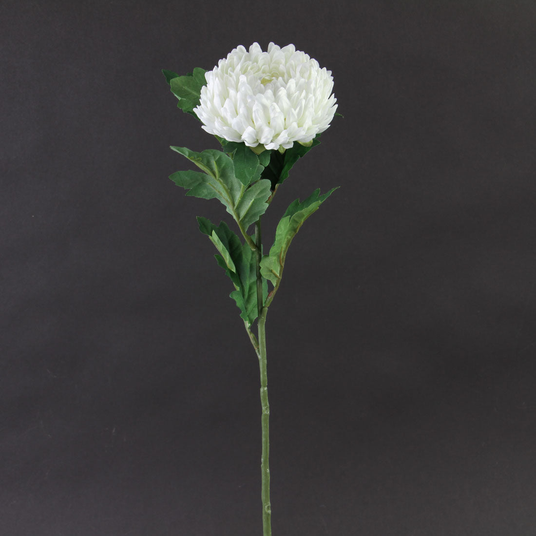 23" MUM SPRAY WHITE