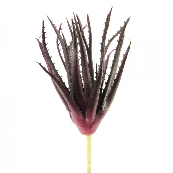10"ALOE PICK