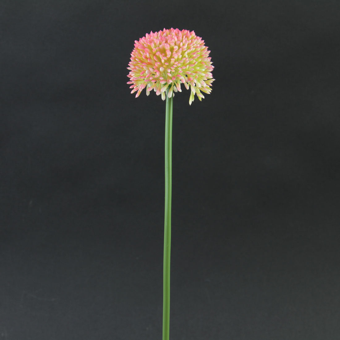 17.5"ALLIUM SPRAY LAVENDER