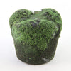 4.5"X5"MOSS/SOIL PLANTER A4
