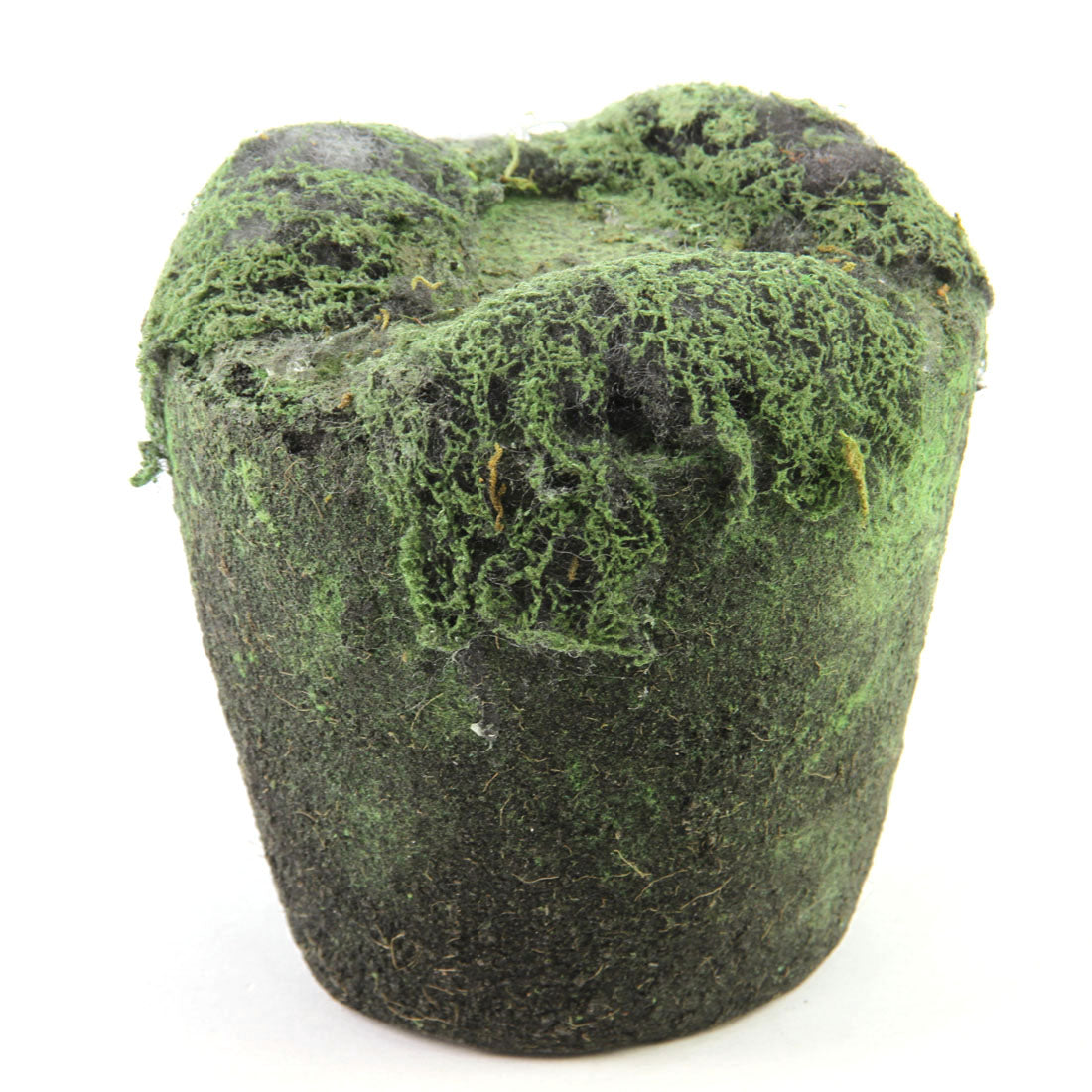 5.5"X6"MOSS/SOIL PLANTER A4