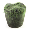 5.5"X6"MOSS/SOIL PLANTER A4