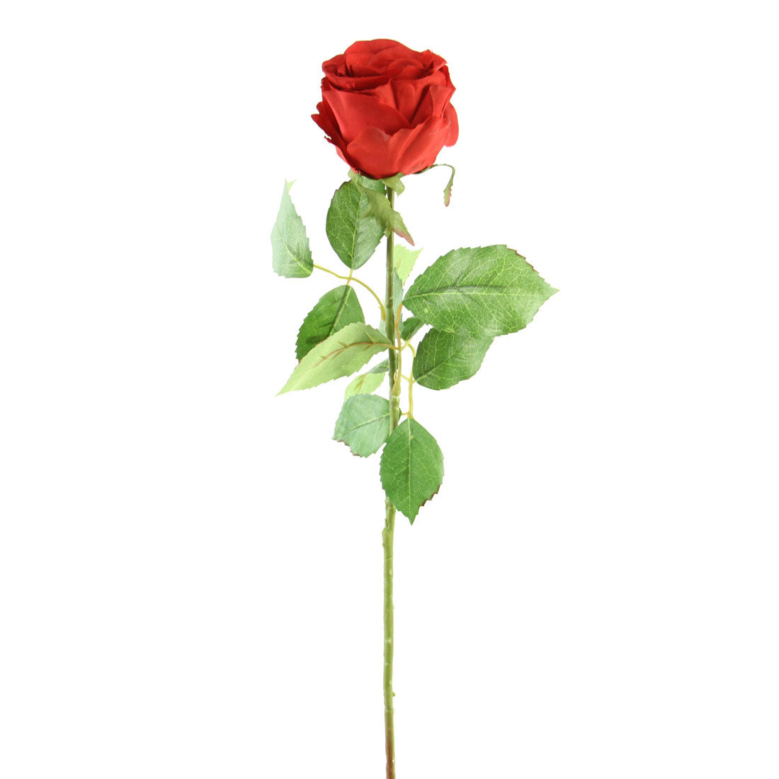 27.5"LG.COTTAGE ROSE BUD RED