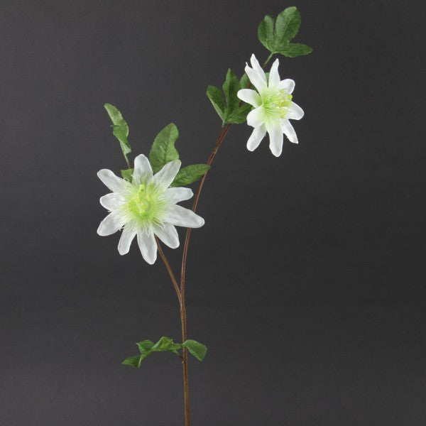 25"PASSION FLOWER SPRY A4