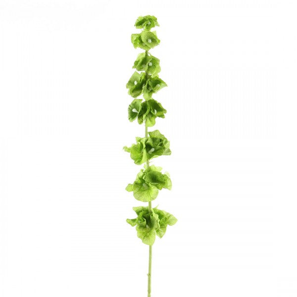 29" BELLS OF IRELAND SPRAY
