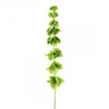 29" BELLS OF IRELAND SPRAY