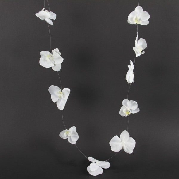 6'PHALAENOPSIS GRLND CREAM A1
