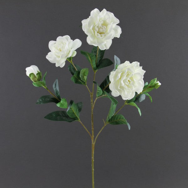 GARDENIA SPRAY X3 WHITE