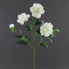GARDENIA SPRAY X3 WHITE
