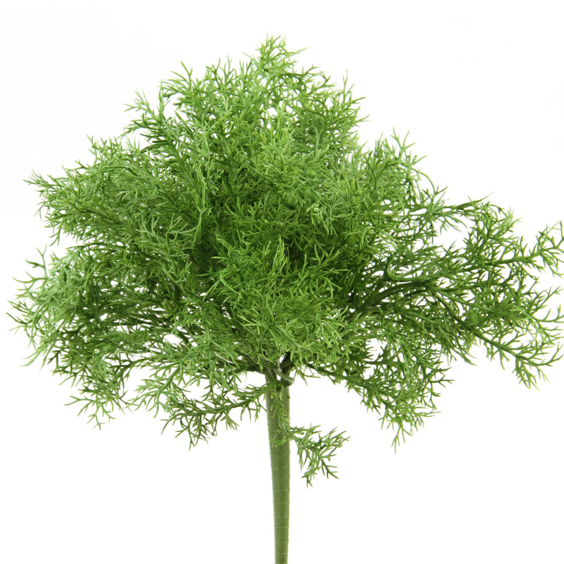 11"SPRENGERI BUSH GREEN