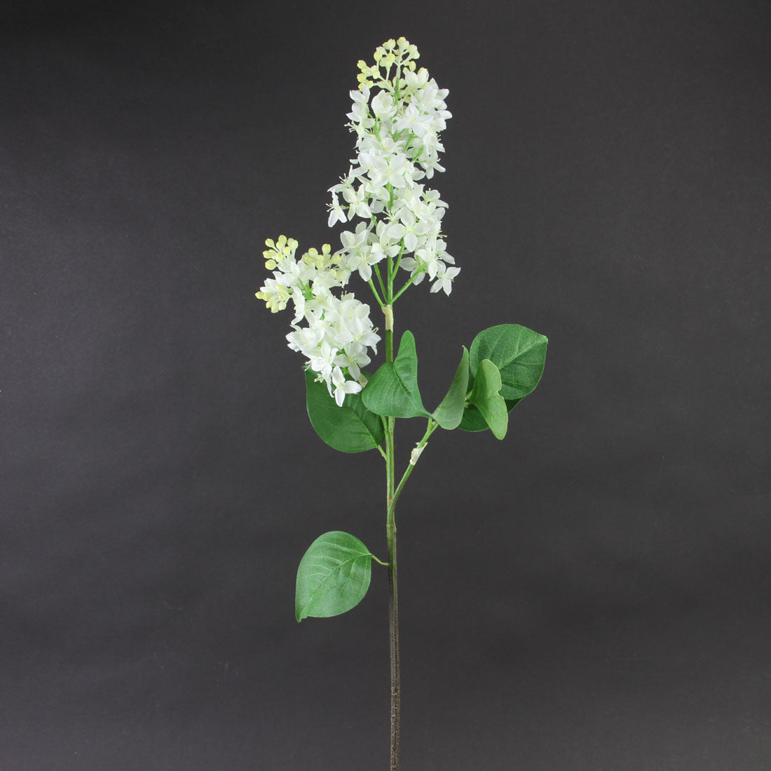 31.75"LILAC SPRAY