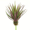 7.8"MARGINATA PICK RED/GRN