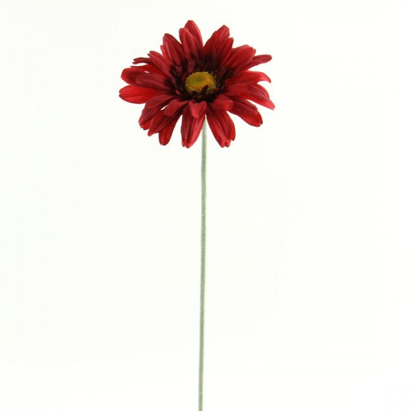 27"GERBERA DAISY SPRAY A5