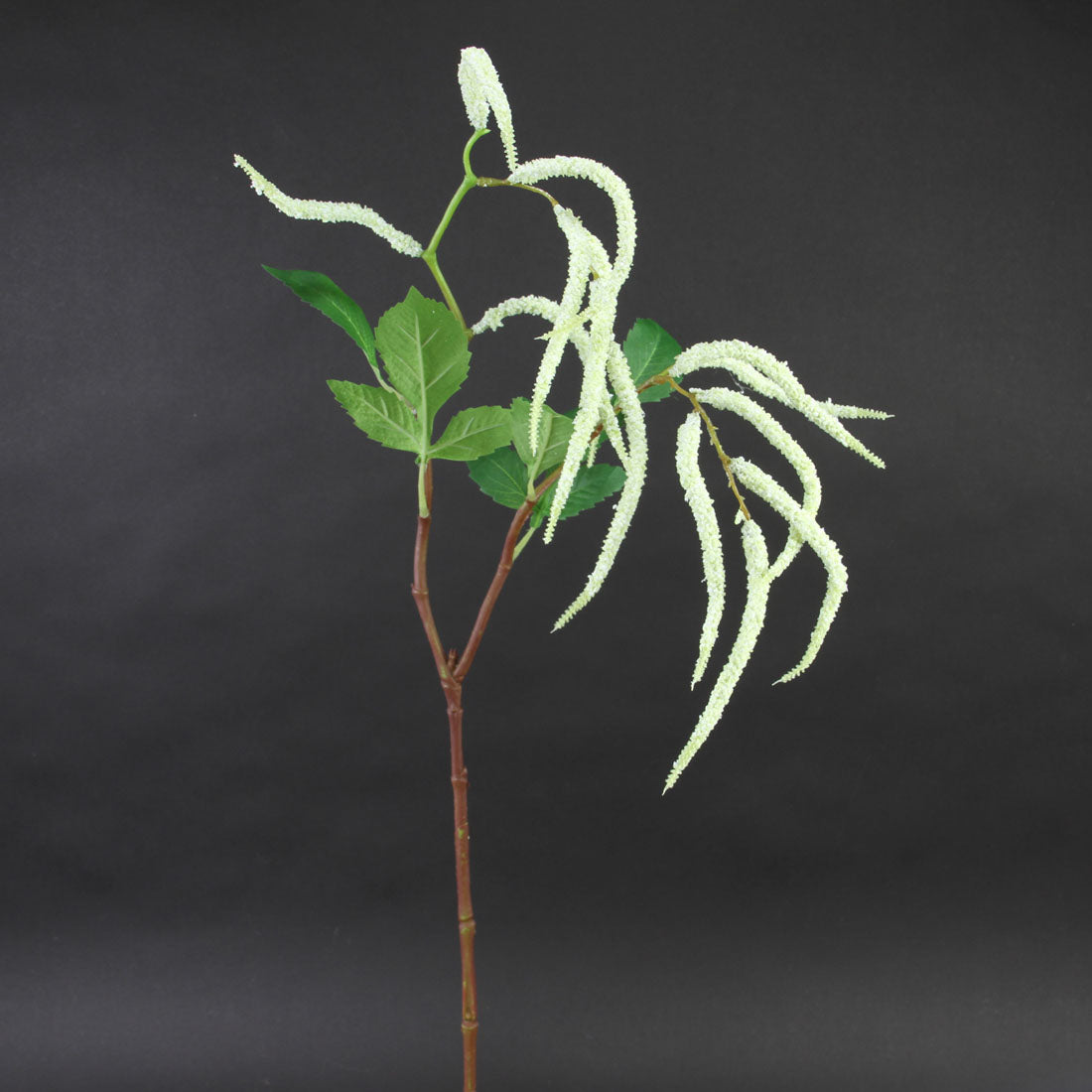 36.5" AMARANTHUS HANG.SPRAY