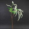 36.5" AMARANTHUS HANG.SPRAY