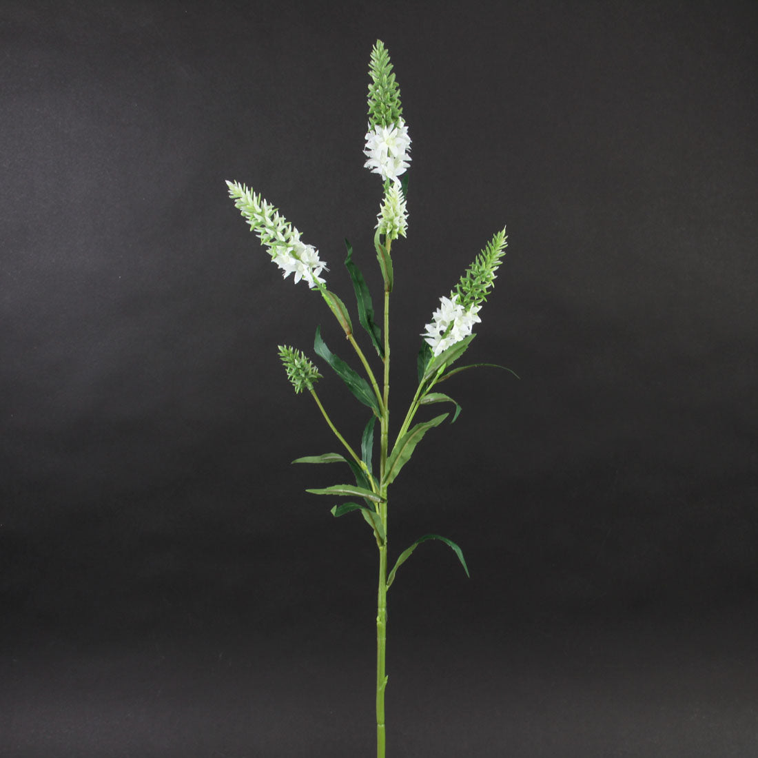 29.5"ASTILBE SPRAY WHITE