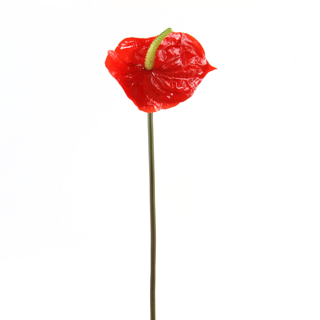 6"ANTHURIUM SPRAY TT.RED