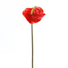 6"ANTHURIUM SPRAY TT.RED