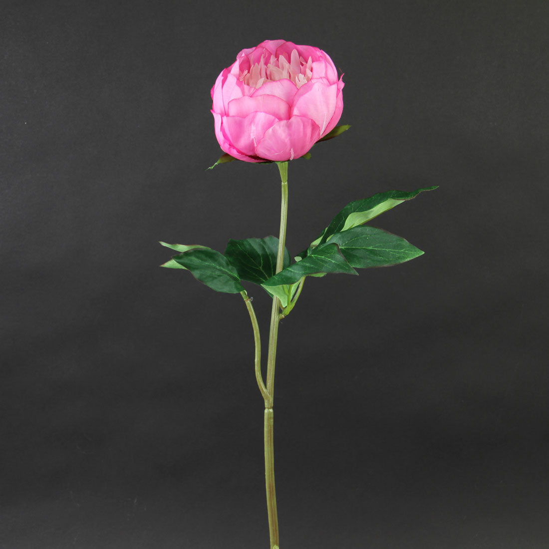 23.25"PEONY SPRAY