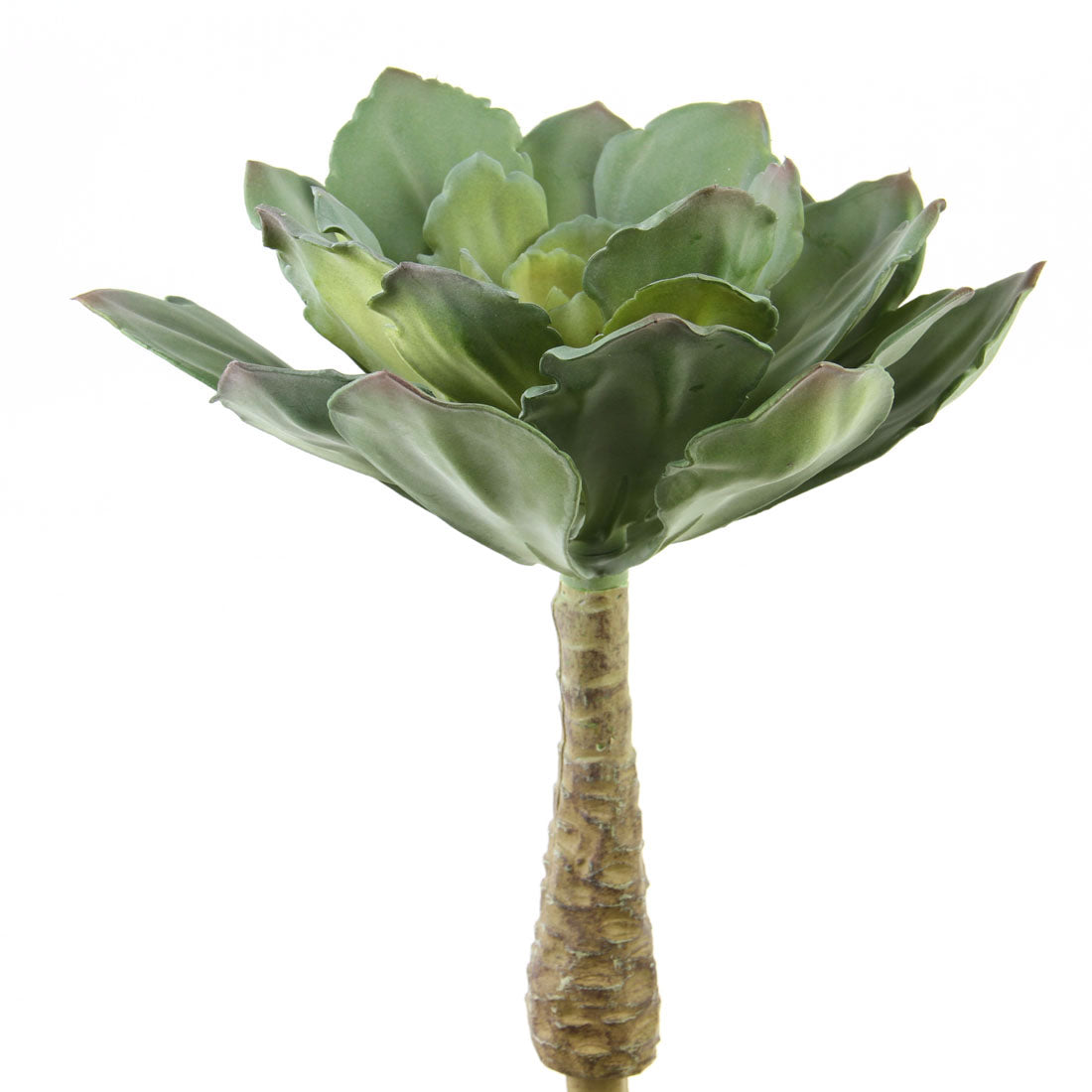 12"UV ECHEVERIA PICK GREEN