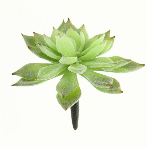 4.75"MINI ECHEV.CACTUS GR/FK