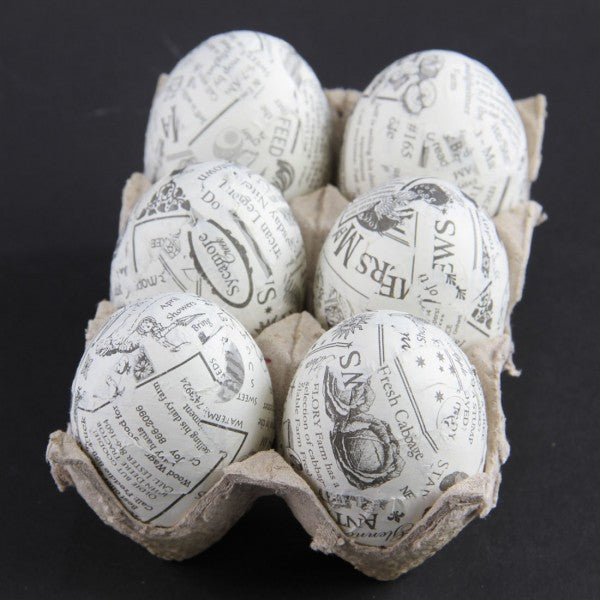 6"EGG 6/BX A4