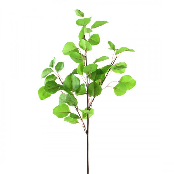 36"EUCALYPTUS BRANCH GREEN