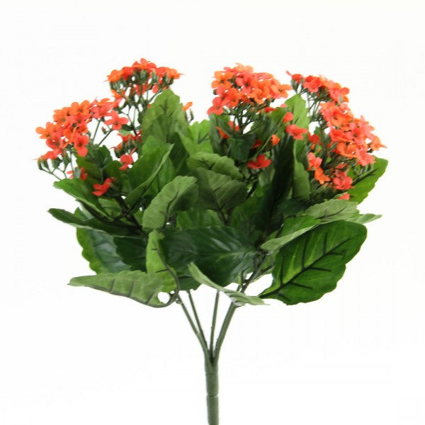 13.5" KALANCHOE BUSH FLAME