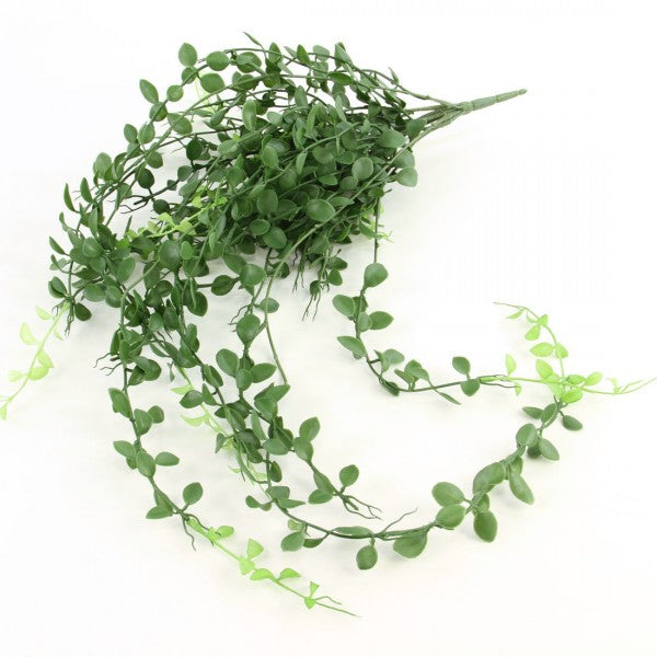 39"BUTTON LEAF HANGING BUSH