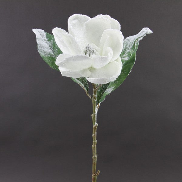 27"SNOW MAGNOLIA SPRAY