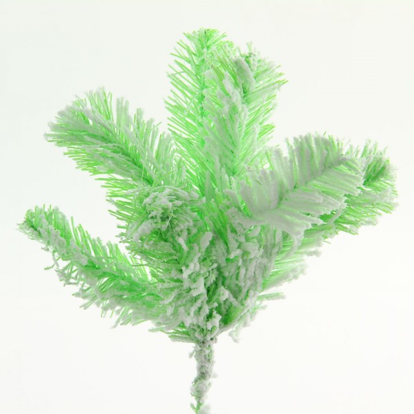 12"SNOWY FANTASY PINE SPRY A4