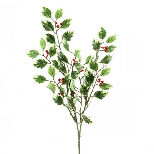 19" MINI HOLLY W/BER SPRAY