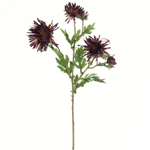 29"SPIDER MUM SPRAY A4 B12