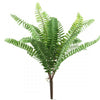 17"BOSTON FERN BUSH