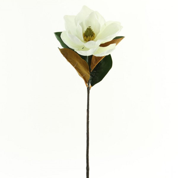 24" MAGNOLIA SPRAY CREAM