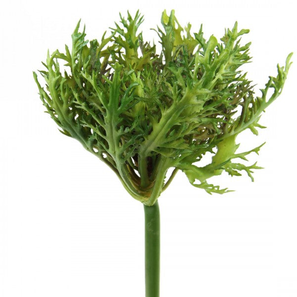 9"CABBAGE SPRAY
