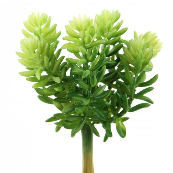7"SOFT SEDUM PICK GREEN