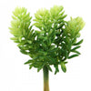 7"SOFT SEDUM PICK GREEN