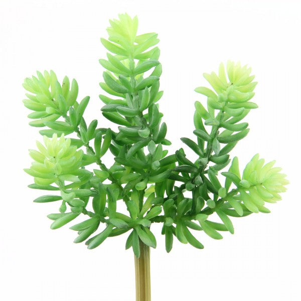 7"SOFT SEDUM PICK GRN/GRAY