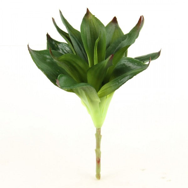 10" DRACAENA SPRAY GRN