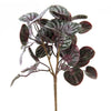 10"PEPPEROMIA BUSH