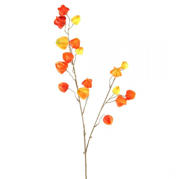 41"CHINESE LANTERN SPRAY