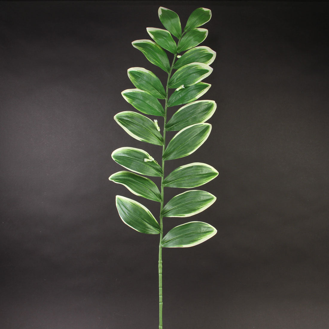 47"SOLOMON'S SEAL SPRAY