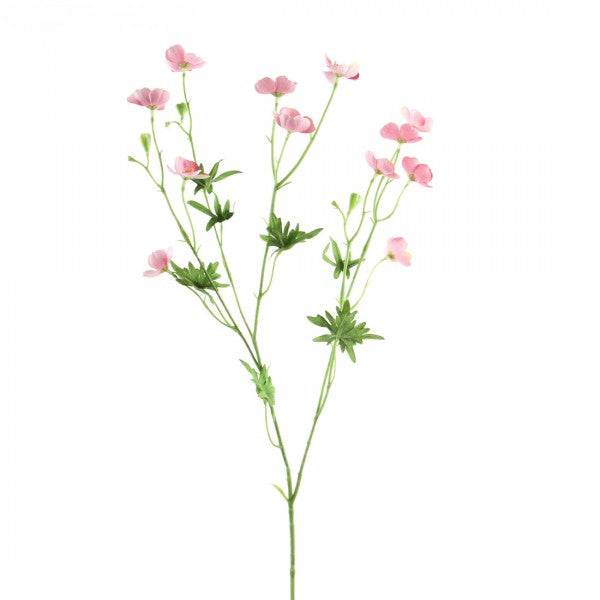 27"BUTTERCUP SPRY PINK A4