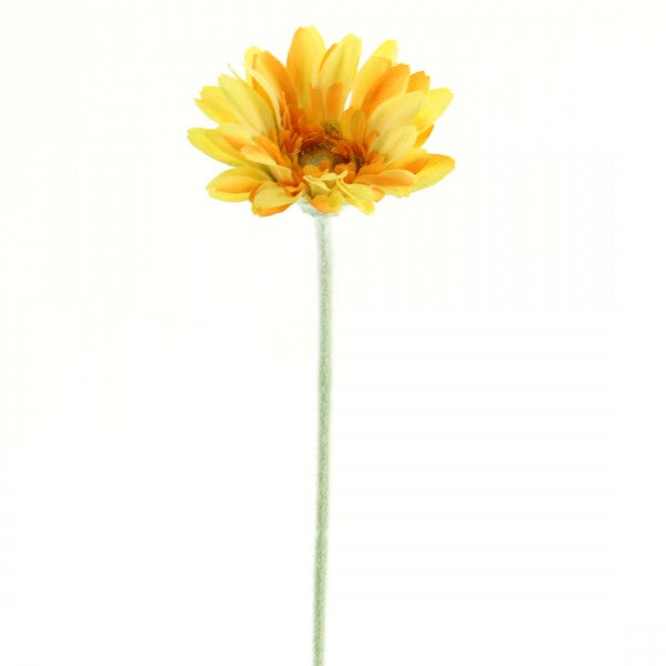 22.5"ROYAL GERBERA DAISY B2