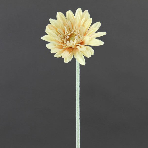 22.5"ROYAL GERBERA DAISY B2