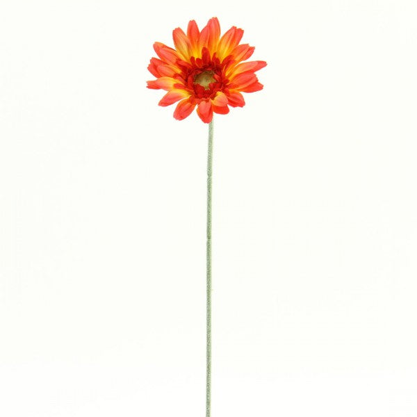 22.5"ROYAL GERBERA DAISY A4