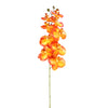 38"PHALAENOPSIS SPRAY