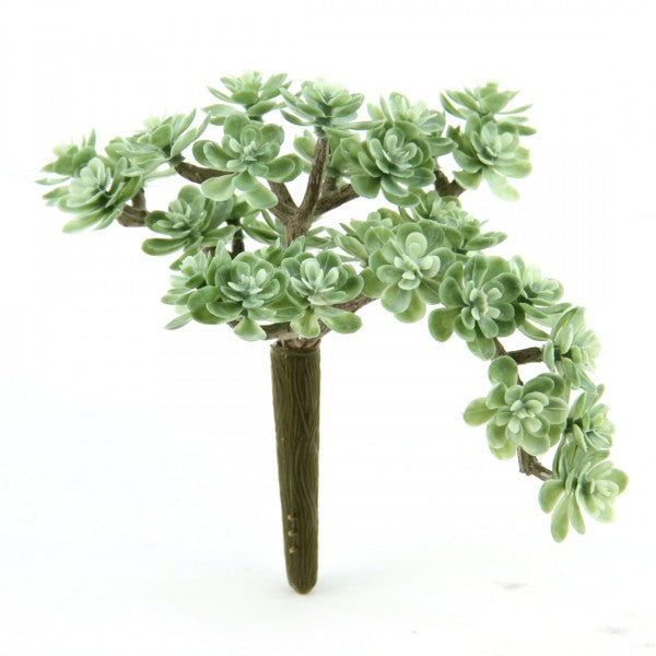 5"SEDUM PICK DUSTY GREEN